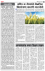 08 June Su page- 2